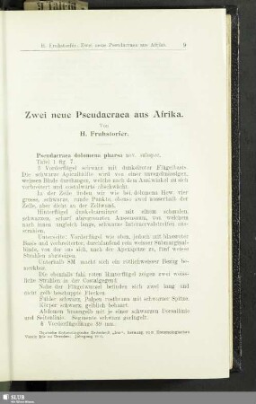 Zwei neue Pseudacraea aus Afrika