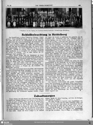 Schloßbeleuchtung in Heidelberg