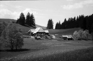 Schwarzwaldhof an der B 31 bei Breitnau