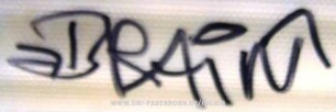 BRAiN