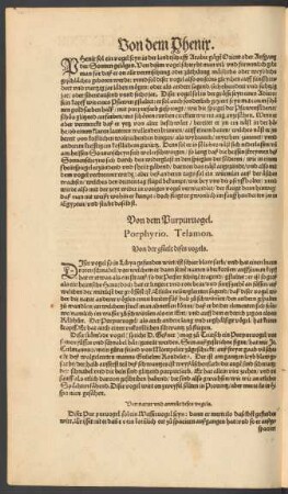 Von dem Purpurvogel. Porphyrio. Telamon.