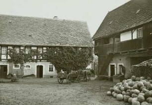 Erlbach, Gut, Hof mit Pferdefuhrwerk und Kürbissen