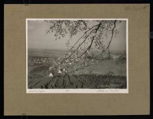 73, Stetten im Remstal. (Nr. 3293).