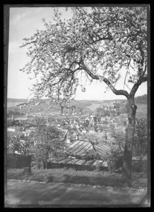 Blick über Altstadt, Kreuzwertheim und Burg