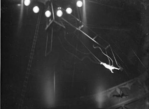 Zirkus Busch: Sprung durch die Luft
