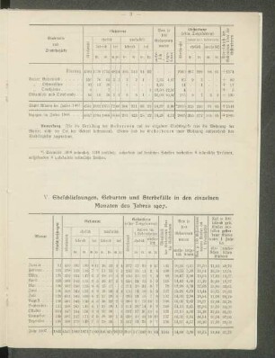 V. Eheschliessungen, Geburten und Sterbefälle in den einzelnen Monaten des Jahres 1907.