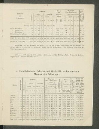 V. Eheschliessungen, Geburten und Sterbefälle in den einzelnen Monaten des Jahres 1907.