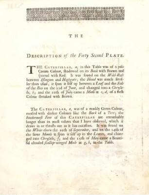 The Description of the Forty Second Plate