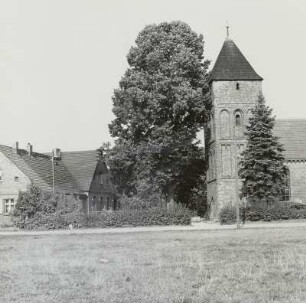 Eiche (Quercus) und Fichte (Picea; Naturdenkmale)