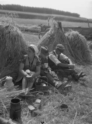 Cotta, Arbeitspause auf einem Feld : Cotta. Getreideernte. Arbeitspause