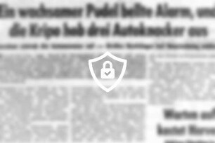 Ein wachsamer Pudel bellte Alarm, und die Kripo hob drei Autoknacker aus