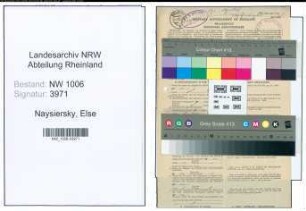 Entnazifizierung Else Naysiersky , geb. 18.11.1919 (Postangestellte)