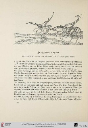Fünfzehntes Kapitel