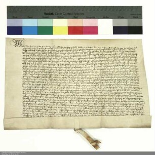 Bestätigung Reinhards [von Weilnau], Abt von Fulda, das ihm Dechant und Konvent von Fulda Schloss und Dorf Giesel und weitere Güter verkauft haben