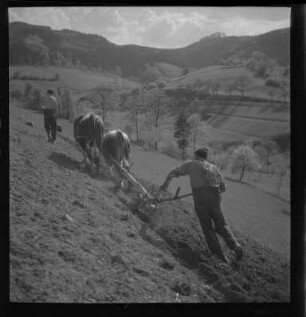 Traditionelle Landwirtschaft