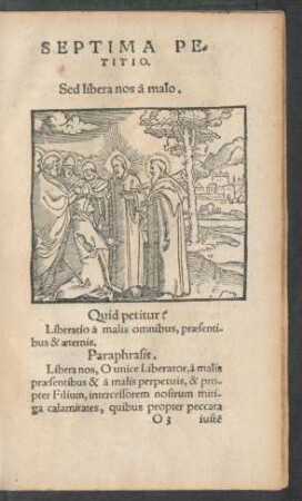 Septima Petitio.