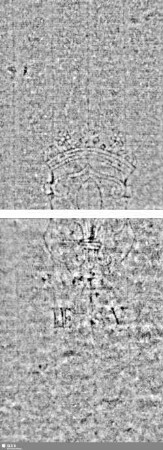 Lilienschild + IESV / LW = S.9/10+47/48