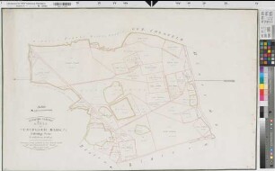 Tungerloh-Capellen (Gescher), Tungerloh-Pröbsting (Gescher), Teilung der Tungerloher Mark, Bl. 11 Reinkarte Pröbsting Seite