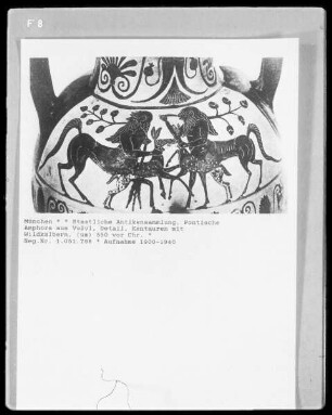 Pontische Amphora aus Vulvi, Detail: Kentauren mit Wildkälbern
