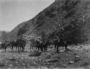 Karawane : Eine Karawane im Tian Shan Hochgebirge