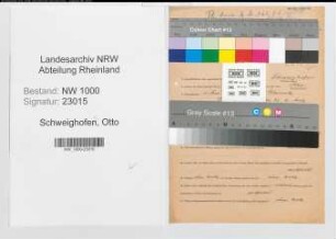Entnazifizierung Otto Schweighofer, geb. 06.05.1895 (Lehrer)
