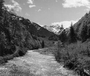 Gebirgsbach (vielleicht in den Allgäuer Alpen)