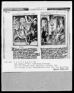 Zwei Schriften — Speculum humanae salvationis — Textseite mit zwei Miniaturen, Folio 61verso