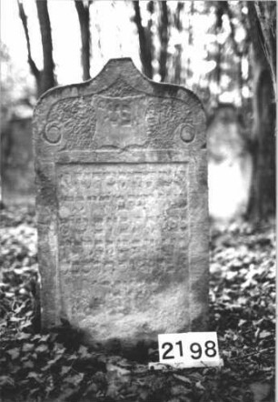 Grabstein 2198