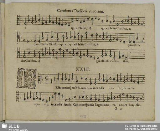 XXIII. Pectus ut in sponso