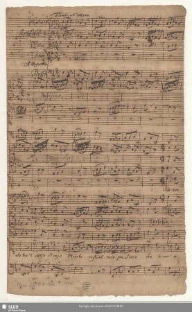 Alfonso. Excerpts - Mus.2477-F-503 : S, orch, bc