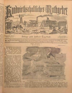 20: Beilage vom Montag, 21. September 1896