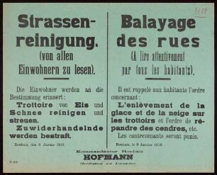 "Strassenreinigung (von allen Einwohnern zu lesen)" (Aufforderung zur Reinigung der Bürgersteige von Eis und Schnee) (No. 379)