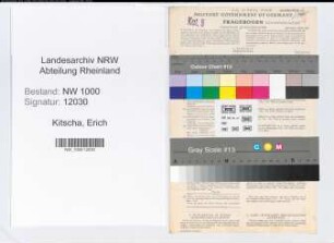 Entnazifizierung Erich Kitscha, geb. 18.02.1889 (Ingenieur)