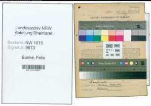 Entnazifizierung Felix Bunke , geb. 10.10.1886 (Arzt)