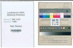 Entnazifizierung Richard Weil , geb. 30.08.1907 (Schneider)
