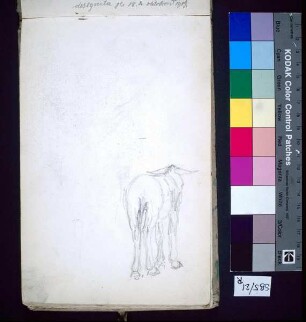 Eselstudie zum Gemälde "Der Pilger"