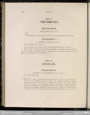 Ordo VI. Struthiones