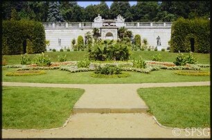 Potsdam, Park Sanssouci, Sizilianischer Garten.