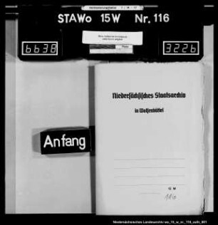 Verkauf der Ziegelhütte zu Ammensen (Amt Greene)
