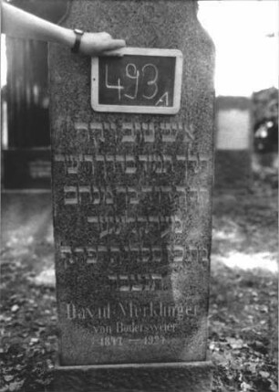 Grabstein 493 (Index: 100111631) Material: Granit Zustand: gut Maße HxBxT: 162x47x16 cm Beschreibung: Stele, Sockel, geschwungener Abschluß: Grabstein 493A