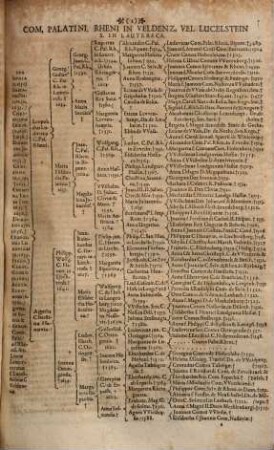 Theatrum nobilitatis Europeae : tabulis, progonologicis praecipuorum in cultiori Christiano orbe magnatum et illustrium progenitores CXXIIX, LXIV, aut XXXII, iusto ordine repraesentantibus exornatum, 2