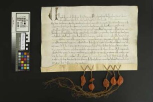 Guntersblum: Indulgentiae pro Ecclesia in Guntersblum