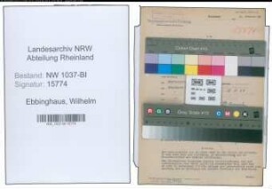 Entnazifizierung Wilhelm Ebbinghaus , geb. 25.02.1901 (Rektor)