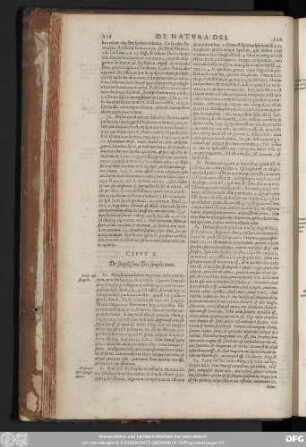 Caput X. De simplissima Dei simplicitate.