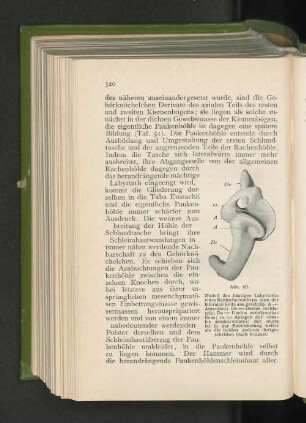 Abb. 181.