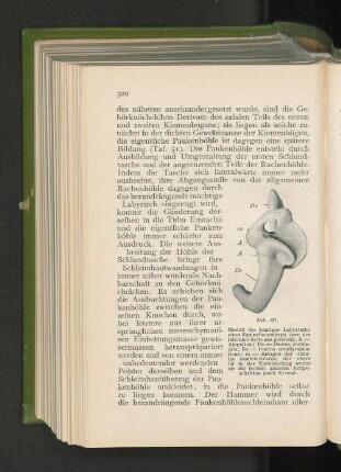 Abb. 181.