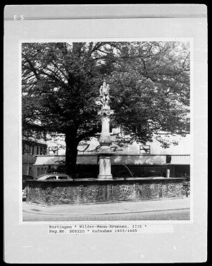 Wilder-Mann-Brunnen