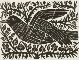 Fliegender Vogel