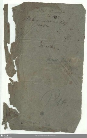 Stimmensatz [Schreiber: Siebold, J.S.; Opitz, J.S.; u.a.]