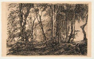 Laubwald